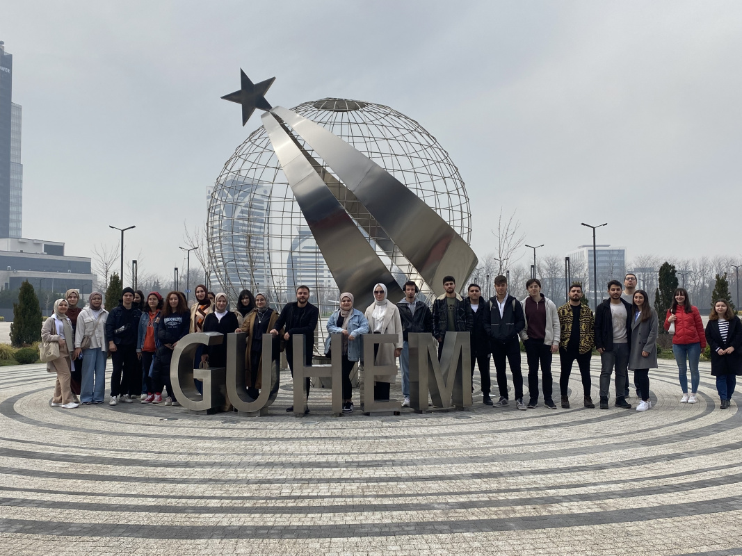 Bir xonada mushuk topildi